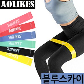 AOLIKES 루프밴드 1~6단계 스쿼트 런지 힙업운동 홈트레이닝 전신운동밴드, 루프밴드(3단계/블루스카이)