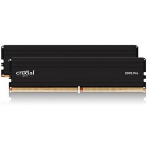 [마이크론] Cucial DDR5 PC5-48000 CL48 PRO 대원씨티에스 [48GB (24GB*2)] (6000), 2개