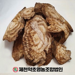 국산(자연산) 갈근 칡뿌리 500g 제천약초영농조합 제천약초시장, 1개