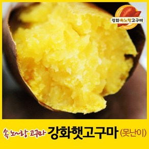 [농장직송] 강화속노랑고구마 강화도호박고구마 햇고구마 [소/중/대] 5kg 10kg 선택., 1박스, 선택11. 못난이 10kg