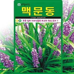 아람종묘 맥문동 씨앗 100립 맥문동 씨 약초 종자, 1개