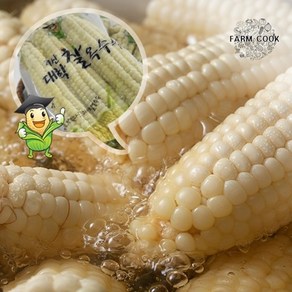[팜쿡]괴산 삶은 대학찰옥수수 실속 (못난이)냉동 16개(팩당4개), 1세트