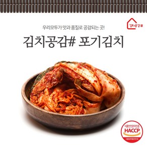 김치공감# (당일생산) 바로담근 포기김치 2kg 3kg 5kg, 1개