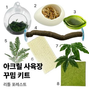 크레스티드게코 도마뱀 사육장 꾸미기 세트 반모리 아크릴 사육장 꾸밈 키트, 리틀 포레스트, 1개