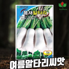 알타리 무씨 품새알타리 종자 30g