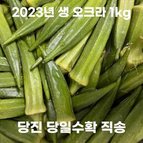 신선한 당진 생 오크라 1kg 오크라 특품 oka 당일수확 충남 농장직송 오쿠라 샐러드 fesh oka vegetables 국산 오크라야채 생오쿠라, 1개