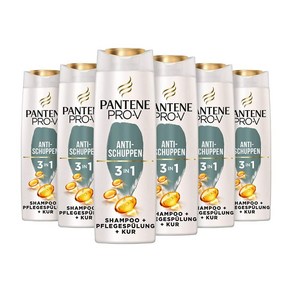 팬틴 Pantene Po V 비듬 방지 샴푸 250ml 6개 세트