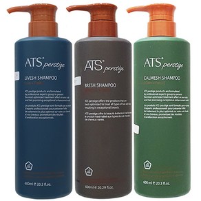 ATS 퍼스티지 샴푸 카미시 리버시 브레시 600ml