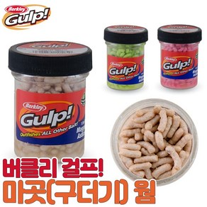 버클리 걸프 마곳 구더기웜 송어 산천어 웜 붕어 잉어 역돔