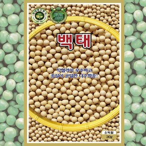 메주콩씨앗 백태 600g 대포장 콩 종자, 1개