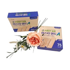 막둥이와망고 의료 및 생활 반창고 마스타밴드a 50p 대일ST밴드 구급함, 1개