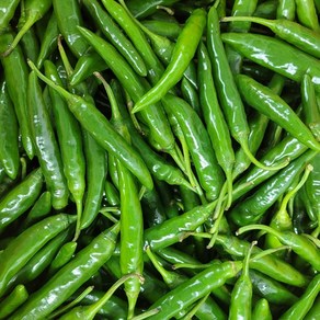 국내산 청양고추 특품 최상급 품질 알싸하고 맛있게 매운 맛, 1개, 10kg