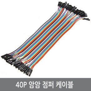 WJ5 40P 암암 점퍼케이블 20CM/F-F 아두이노 점퍼선, 1개