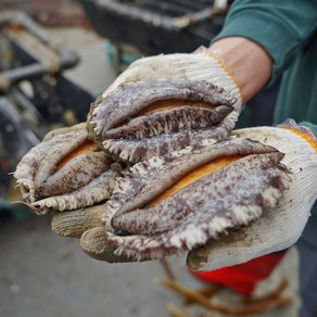 산지직송 완도활전복 크기별 1kg 특대 선물세트 구이용전복 꼬마전복 왕특대 완도전복, 1박스, 중전복 17-19미 1kg