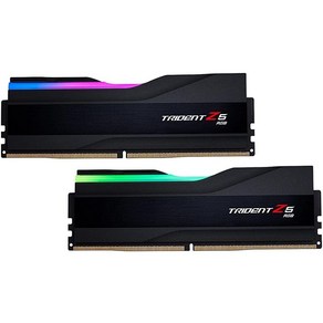 G.SKILL Tident Z5 RGB 시리즈 (인텔 XMP 3.0) DDR5 RAM 96GB (2x48GB) 6400MT/s CL32-39-39-102 1.35V 데스크탑 컴퓨, Matte black_96GB (2x48GB), 2개