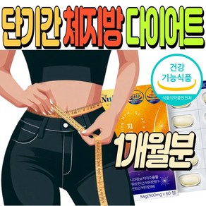 단기간 다이어트 체지방 내장지방 컷팅 가르시니아 캄보지아 허리둘레 허벅지살 아랫배 감소 판토텐산 HCA, 1박스, 60정