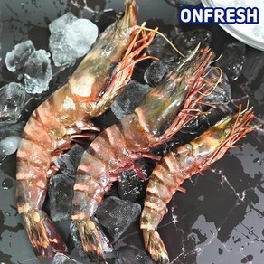 [온프레시] 블랙타이거새우 500g(냉동), 1개, 10미 (500g)