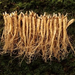 금산 인삼 세척 소 삼계 (500g/40~50뿌리/5~6년근), 500g, 1개