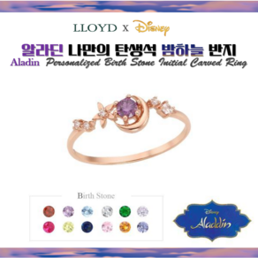 로이드 [Disney]알라딘 로맨틱 밤하늘 1월 탄생석 가넷 10K 14K 18K 반지 LRT19020T