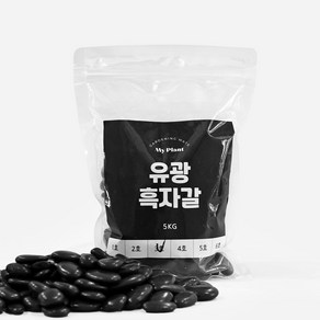 마이플랜트 유광흑자갈 5kg, 2호(9~15mm), 1개