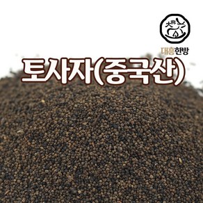 대흥한방 토사자 300g 중국산, 1개