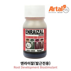 발근제 뿌리내림 삽목 식물영양제 앤라이잘 100ml 고급비료 비료 뿌리활력, 1개