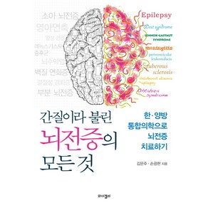 간질이라 불린 뇌전증의 모든 것:한·양방 통합의학으로 뇌전증 치료하기