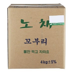 꼬부리콩나물 1BOX, 1개