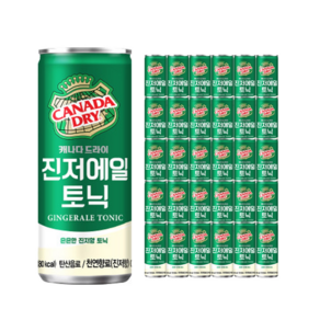 캐나다드라이 토닉워터 진저에일 250ml 30캔 [원산지:국산], 30개