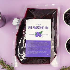 청년수제청 과일청 자일로스 수제 블루베리청, 1개, 500g