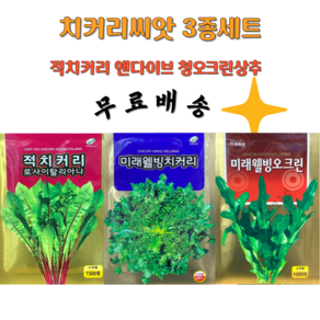 치커리씨앗 3종세트 적치커리씨앗 청치커리 엔다이브 오크상추종자 오크린상추씨앗 야채 채소, 1개