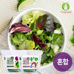 데이밀 자연을담은 샐러드 실속 혼합구성 100g 국내산 야채믹스, 양파드레싱 7개, 40g, 7세트