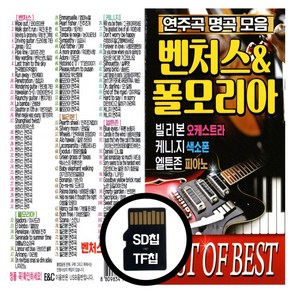 [더올스] USB / SD 경음악 명곡 벤처스 폴모리아 빌리본 케니지 엘튼존 연주곡, SD_TF칩