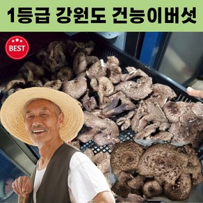 강원도 국산 자연산 건능이버섯 50g 건조 능이버섯 국내산 능이버섯 국산능이버섯 자연산능이버섯 건능이 1등급 말린, 건조능이버섯 50g, 1개