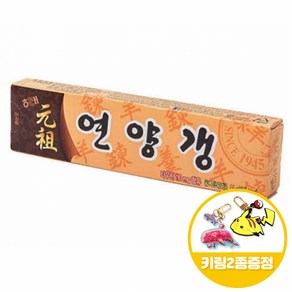 해태 연양갱 55gx40개(반박스)+키링2종, 55g, 40개