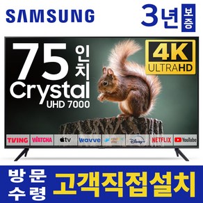 삼성 75인치 TV 4K UHD 스마트TV 75TU7000 유튜브 넷플릭스, 고객직접설치, 스탠드형, 75인치TV