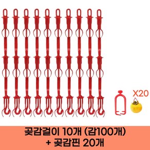 커닷 국내산 곶감 걸이 감100개+꼭지핀20개 세트, 1세트, 10개