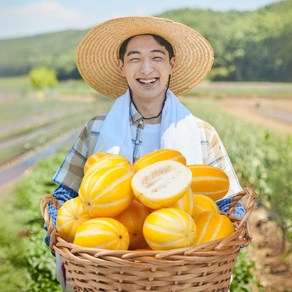 [농가직송] 성주참외 고당도 꿀 참외 로얄과 대과 koean melon, 1박스, 아삭시원 대과(3kg)