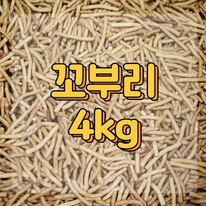 꼬부리 4kg 까불이오란다 까불이 오란다만들기, 1개