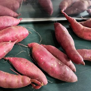 해남황토 햇고구마 꿀 호박고구마 세척고구마, 1박스, 세척 꿀고구마 2kg 특상