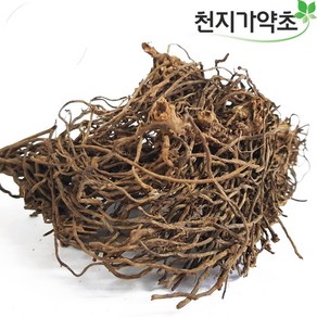 천지가약초 국내자연산 냉초 뿌리 100g, 1개