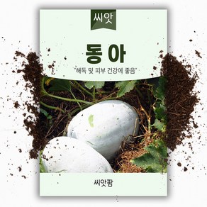 소동아/동과 씨앗 (10립), 1개