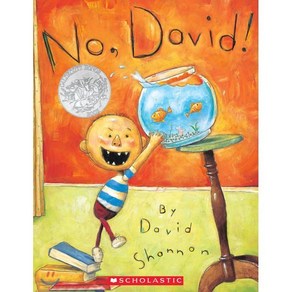 No David! : 1999 칼데콧 아너 수상작 : 1999 Caldecott Honor