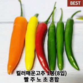 [국내산/국산] 컬러고추 1봉(8입) 빨 주 노 초 혼합 컬러 고추 칼라 고추 알록달록 장식 플레이팅 파인다이닝, 8개, 8개입