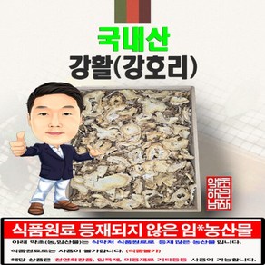 국내산 강활(강호리) 300g (경북 영천) 국산, 1개