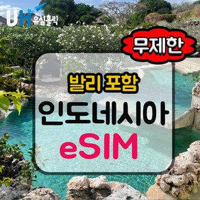 eSIM 인도네시아 이심 데이터 무제한 e심 텔콤셀 핫스팟 발리이심, 무제한플랜, 9일, 1개