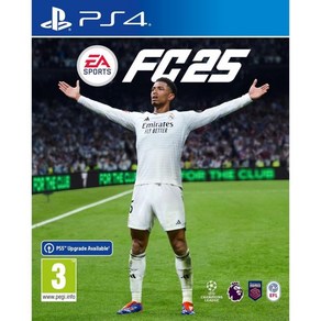 일렉트로닉 아츠 EA SPORTS FC 25 스탠다드 에디션 PS4  비디오 게임 영어, PS4_Standad Edition