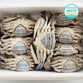 [연평도] 국내산 특품 급냉 암꽃게, 1개, 2kg (6-10미)