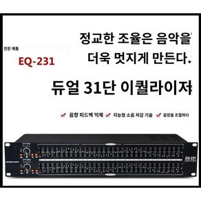 그래픽 이퀄라이저 감소 밴드 2231 사운드 음향 노이즈 잡음, 1. 231, 1개