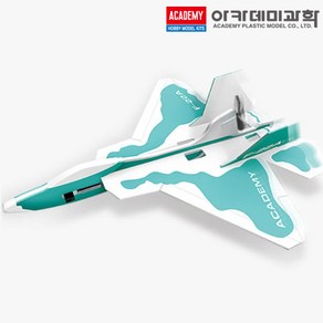 F-22A 콘덴서 비행기 글라이더 아카데미 과학 교재 키트 18161A (안전 포장 배송)